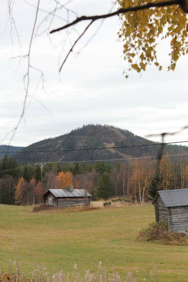Backens Fjaellboende Tännäs Exterior foto